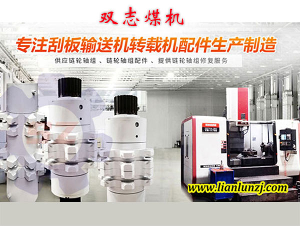 链轮组件厂家 链轮组件厂家